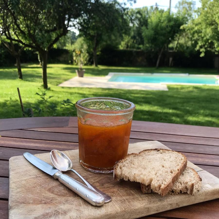 Les Hauts De Grillemont Guest house Cinq-Mars-la-Pile